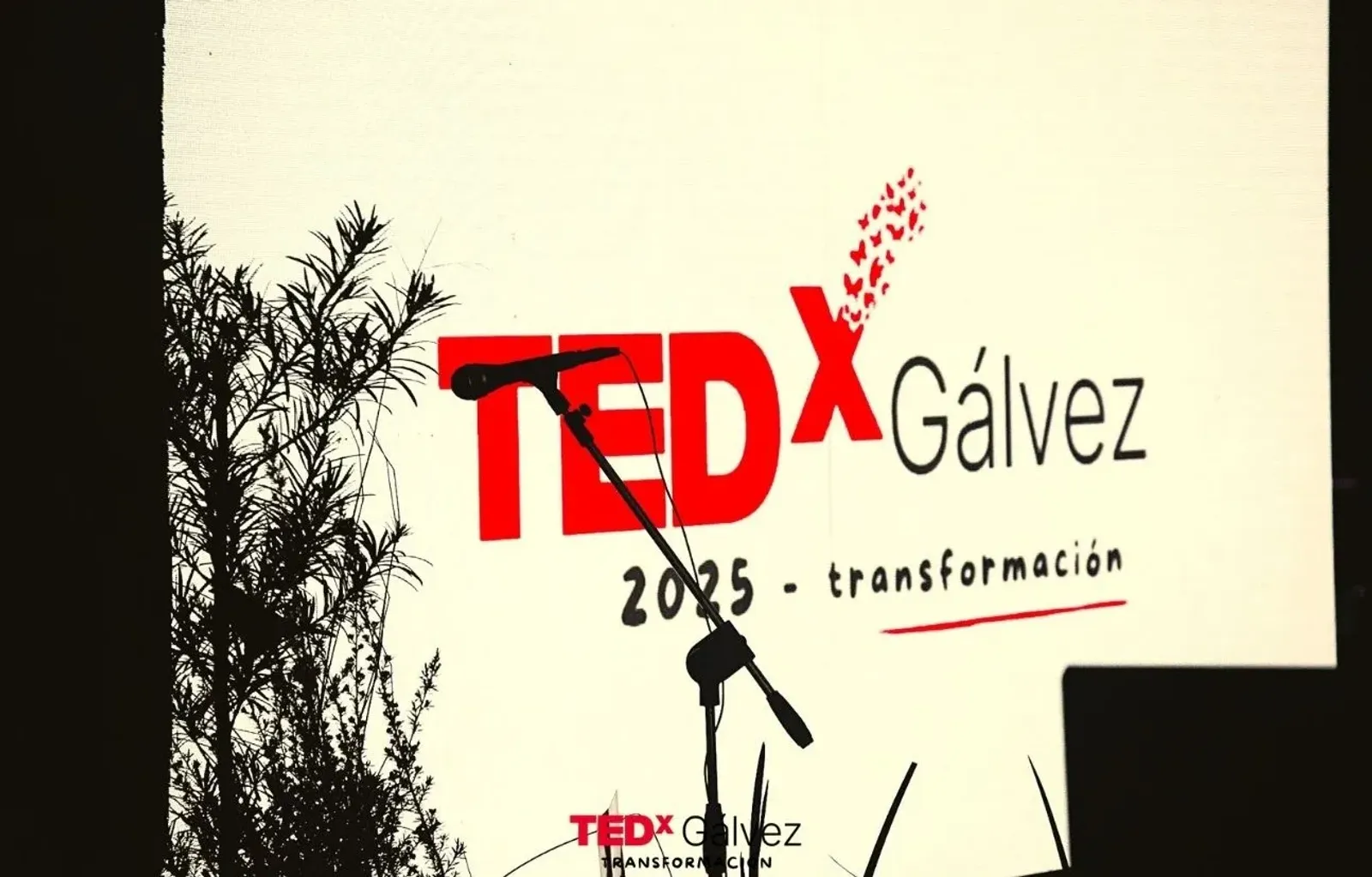 Un momento de TEDxGálvez 2025 · Transformación