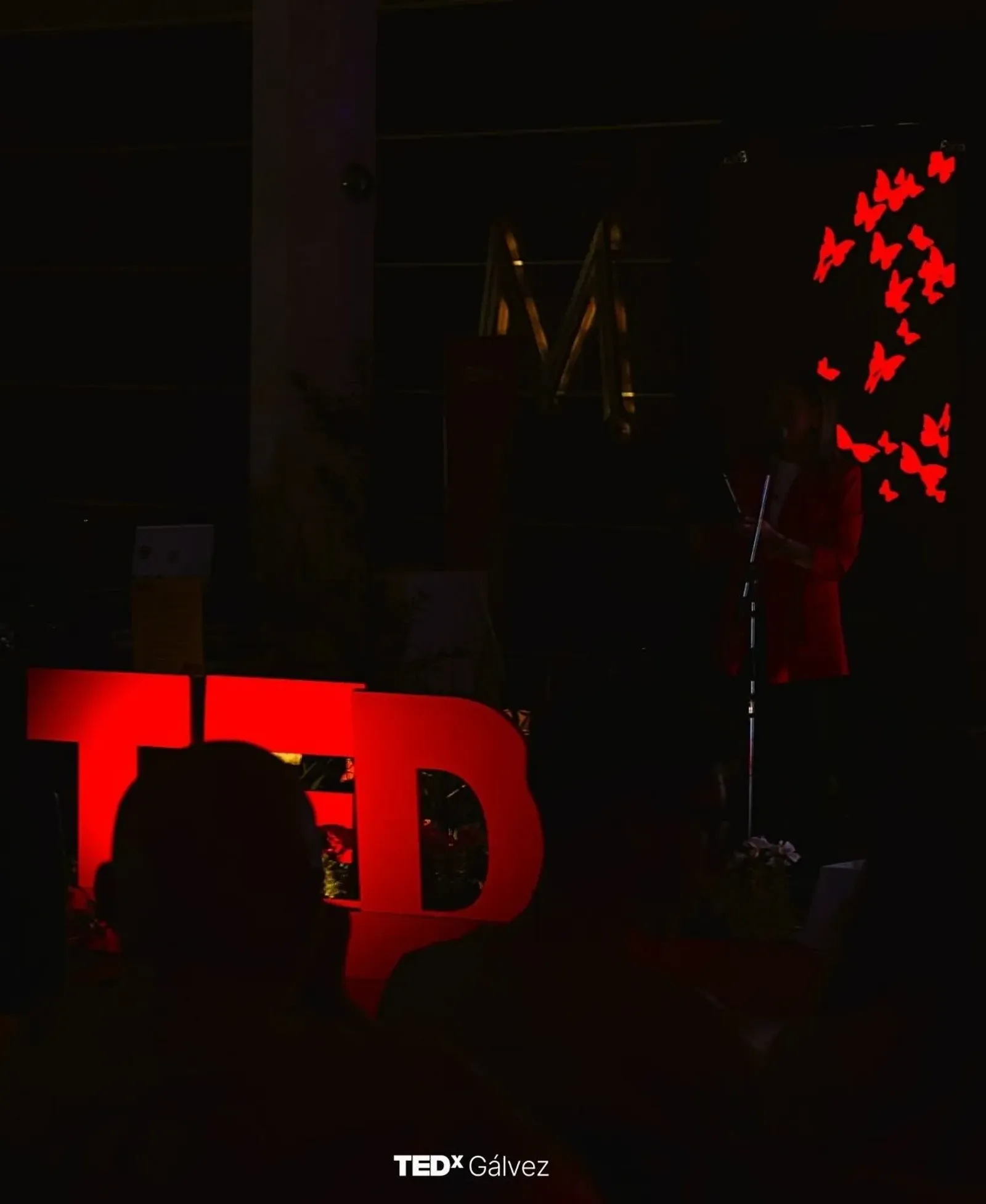 Un momento de TEDxGálvez 2025 · Transformación