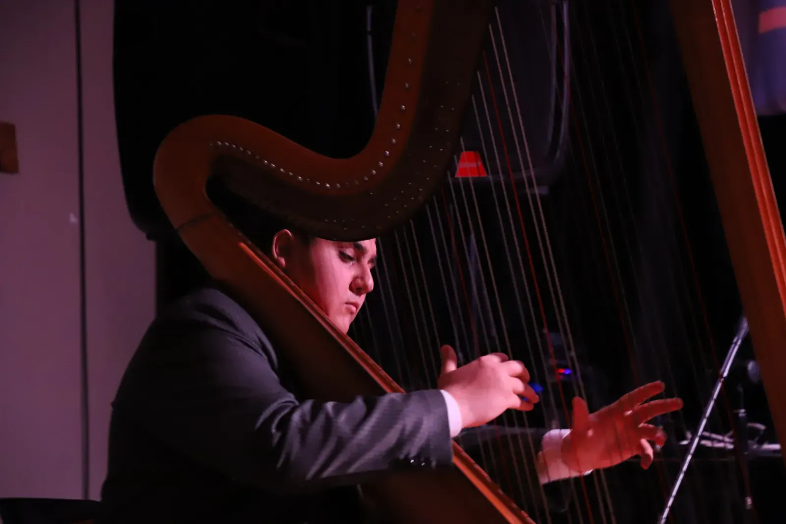 Arpa en vivo antes de las charlas