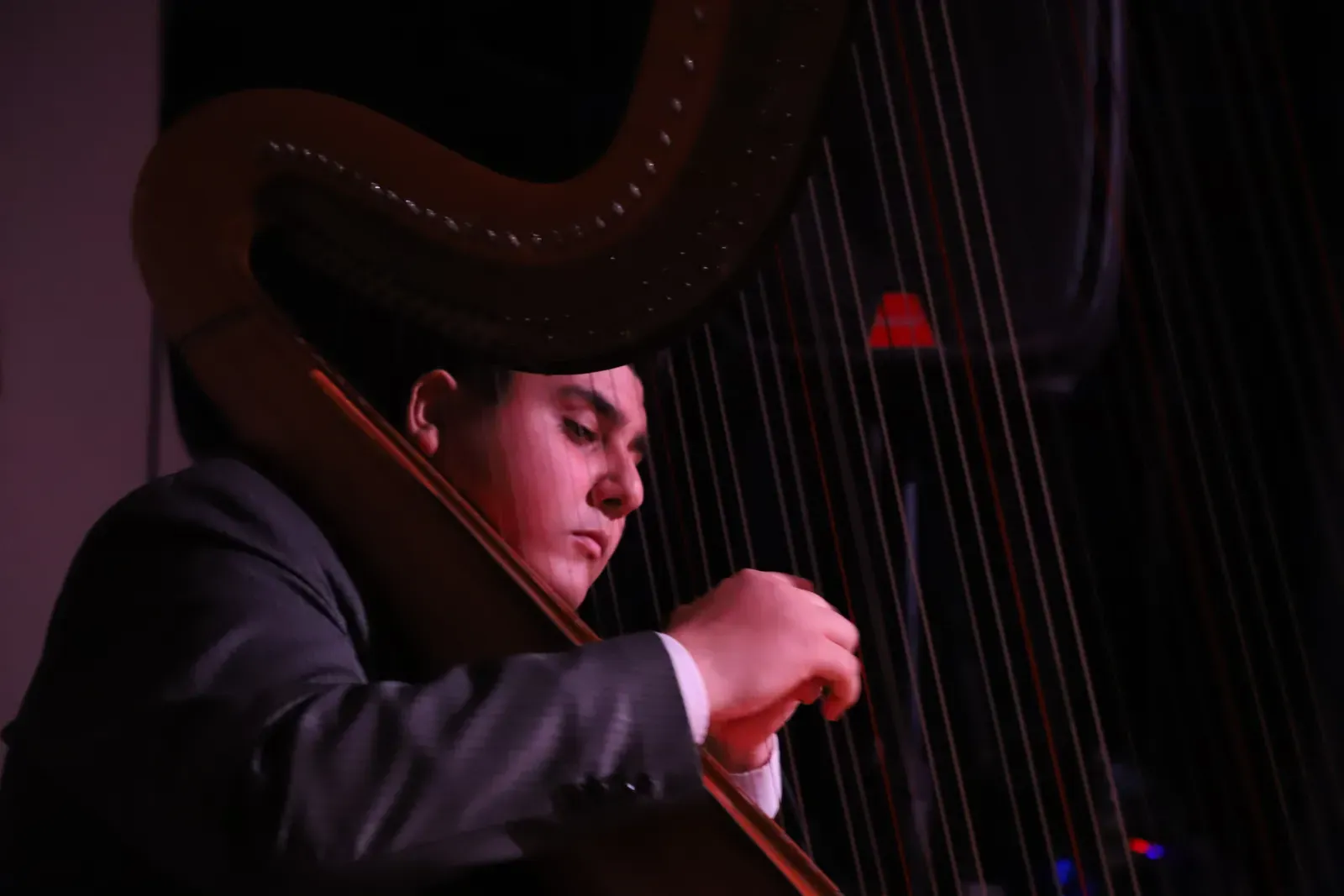 Arpa en vivo antes de las charlas